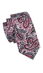 Gray with Black & Red Paisley Necktie